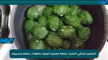 لتحضير محشي الشبت بنكهة مصرية أصيلة بخطوات سهلة وسريعة